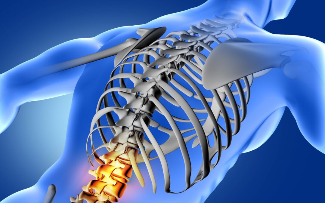 sai quali sono le cause e le terapie efficaci per la lombalgia cronica Nicola Barsotti Diego Lanaro Marco Chiera corsi online