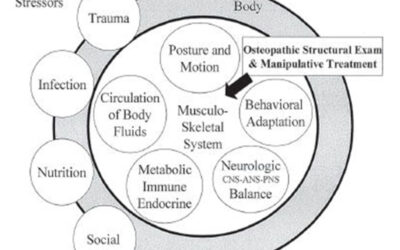 Malocclusioni e disordini temporomandibolari: i principi da utilizzare nel trattamento osteopatico