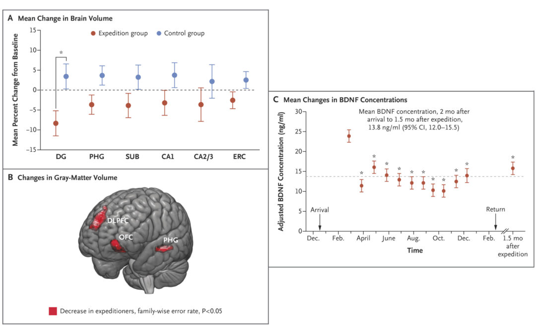 antartide privato la solitudine e i suoi effetti su cervello e immunità pnei psico-neuro-endocrino-immunologia Francesco Bottaccioli Anna Giulia