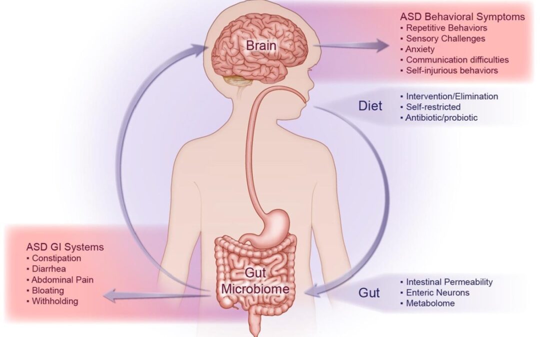l'autismo l'emergenza di un mondo complesso Francesco Bottaccioli Anna Giulia