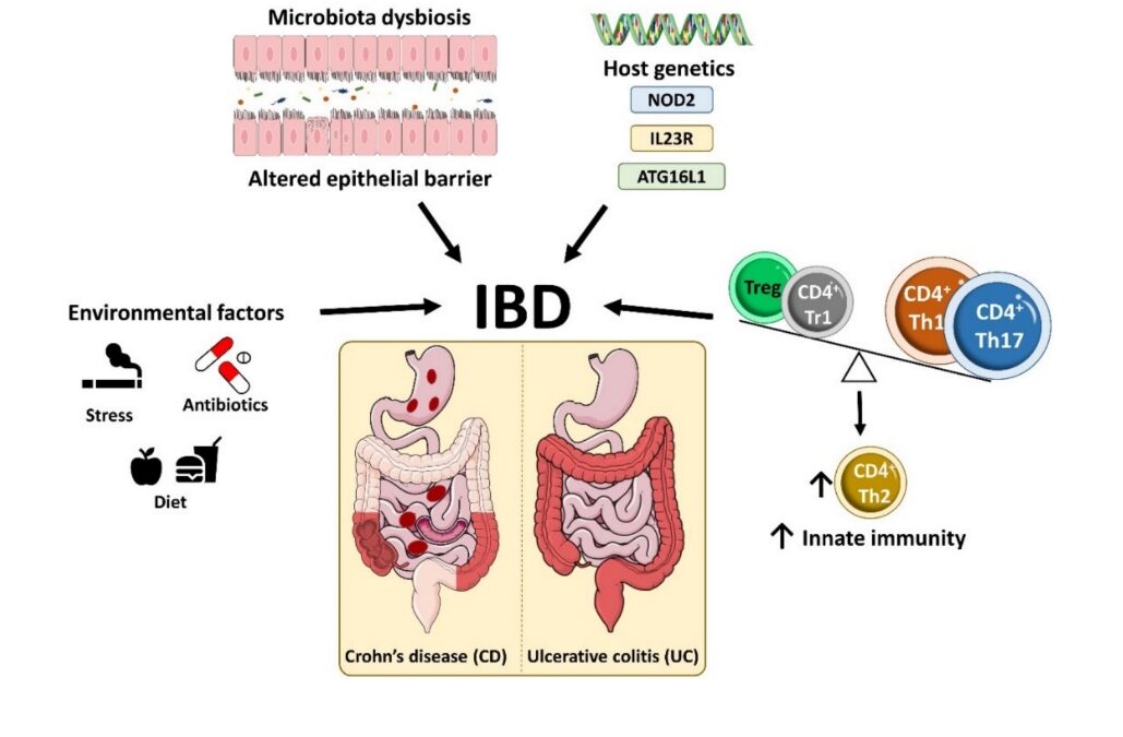 come curare la malattia infiammatoria cronica intestinale in maniera integrata Francesco Bottaccioli Anna Giulia