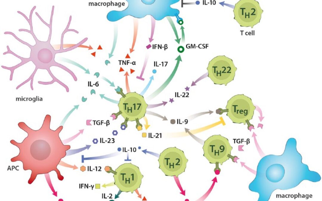 Ben più che mero sistema di difesa alla scoperta dell'immunita Nicola Barsotti Marco Chiera Diego Lanaro stress pnei corso