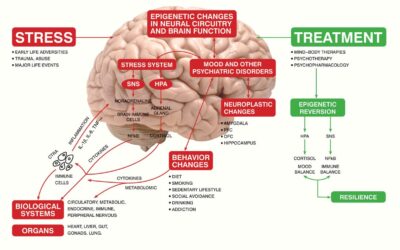 Come la PNEI contribuisce al rinnovamento della psicologia