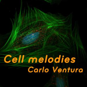 Ventura corso online cellule staminali musica vibrazione cell melodies consapevolezza