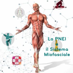 corso online la pnei e il sistema miofasciale corpo fascia ECM psiconeuroendocrinoimmunologia discipline terapie manuali fascia
