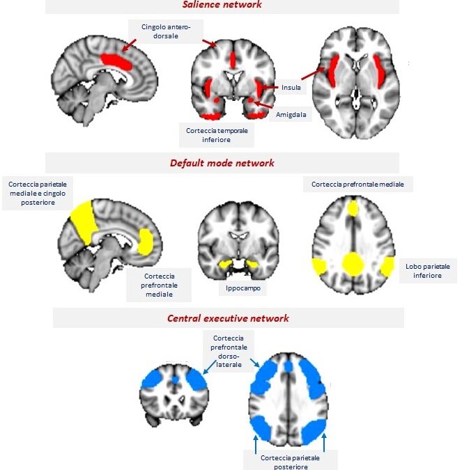 corso online seminari celebrativi 20 anni sipnei stress neurobiologia andrea minelli