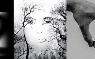 La PNEI e la Psicoterapia della Gestalt come paradigmi complessi