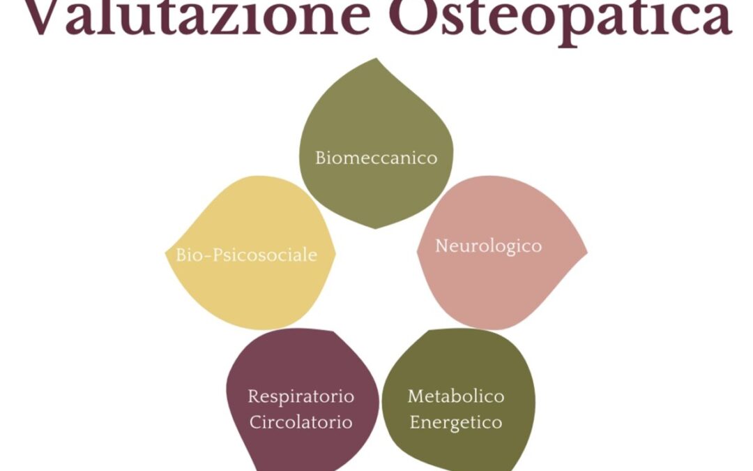 valutazione osteopatica secondo i 5 modelli biomeccanico biopsicosociale neurologico respiratorio circolatorio metabolico energetico corso biotipologia