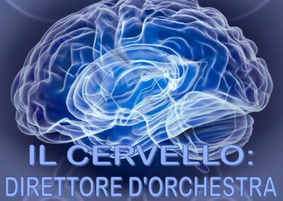 Mibes Magazine 2024 N 4 - Il Cervello direttore d'orchestra rivista online gratuita