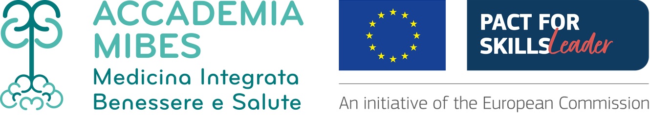 Mibes pact for skills