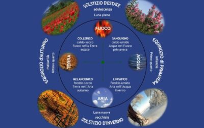 Omeopatia: cos’è, quando è utile e come diventare medico omeopata